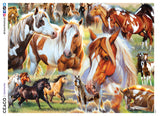 Horses - Horse Collage - 500 Piece Puzzle
