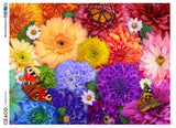 Flower Spectrum - 300 Piece Puzzle