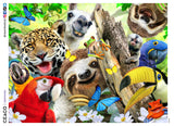 Selfies - Sloth and Friends - 500 Piece Puzzle