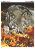 500 Piece Puzzle - Wolf's Contemplation