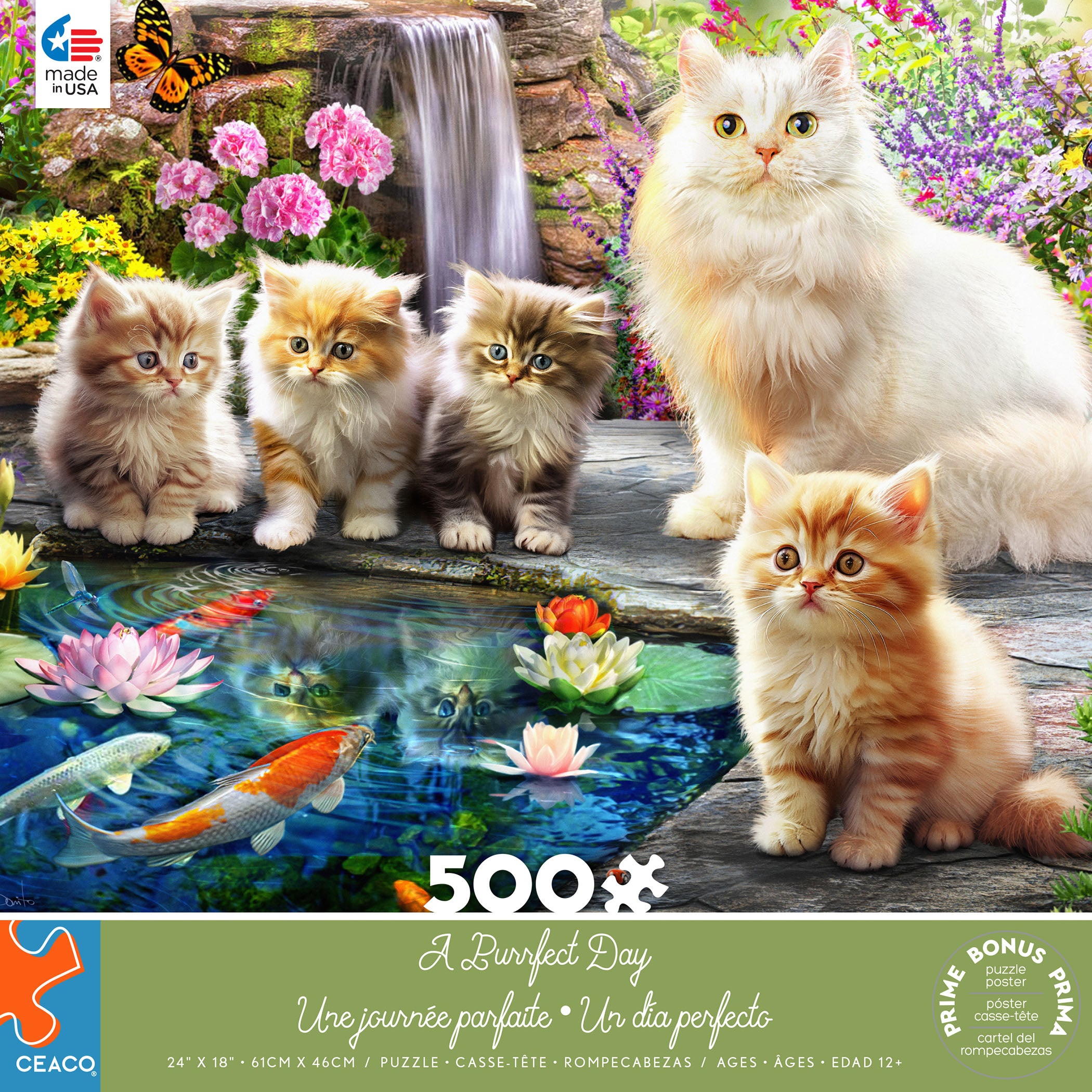 2415-51-APurrfectDay_BOX-FT. 2415-51-APurrfectDay_BOX-FT.