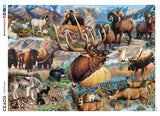 Wild - America the Wild - 1000 Piece Puzzle