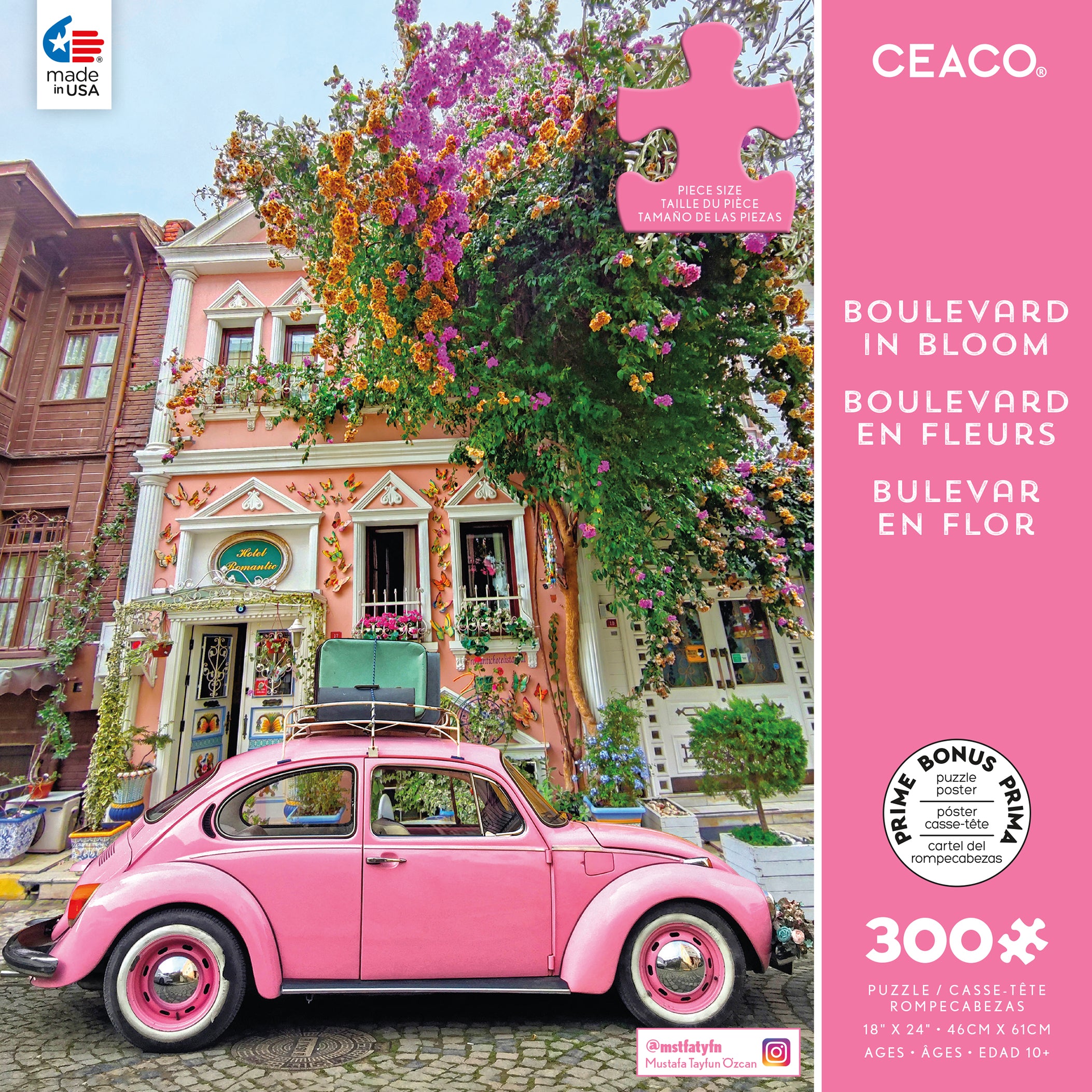 2252-16_BoulevardInBloom_BOX-
