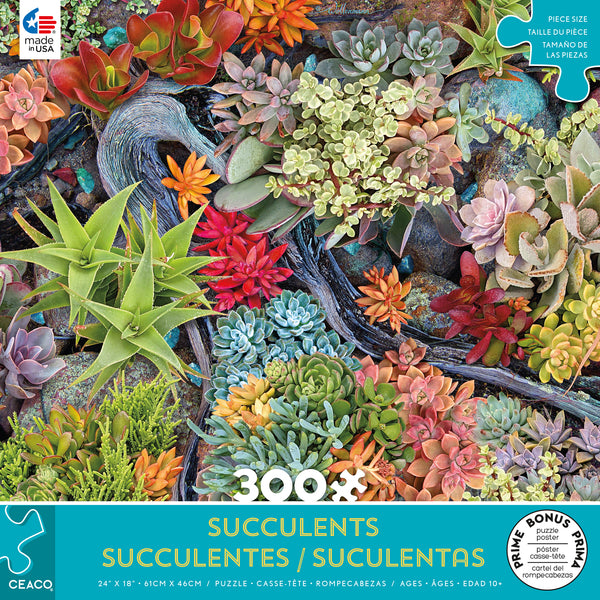Succulents - Desert Blooms - 300 Piece Puzzle