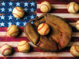 Land of the Free - Play Ball - 550 Piece Puzzle