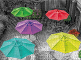Color Splash - Umbrellas - 750 Piece Puzzle