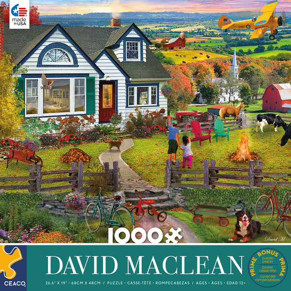 David Maclean - The Fly By- 1000 Piece Puzzle