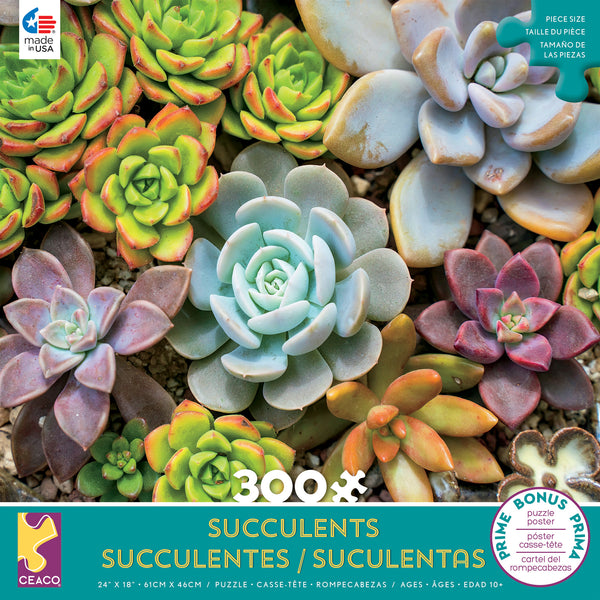 Succulents - Rosette - 300 Piece Puzzle