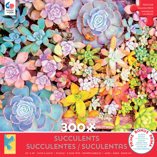 Succulents - Pretty Pastels - 300 Piece Puzzle